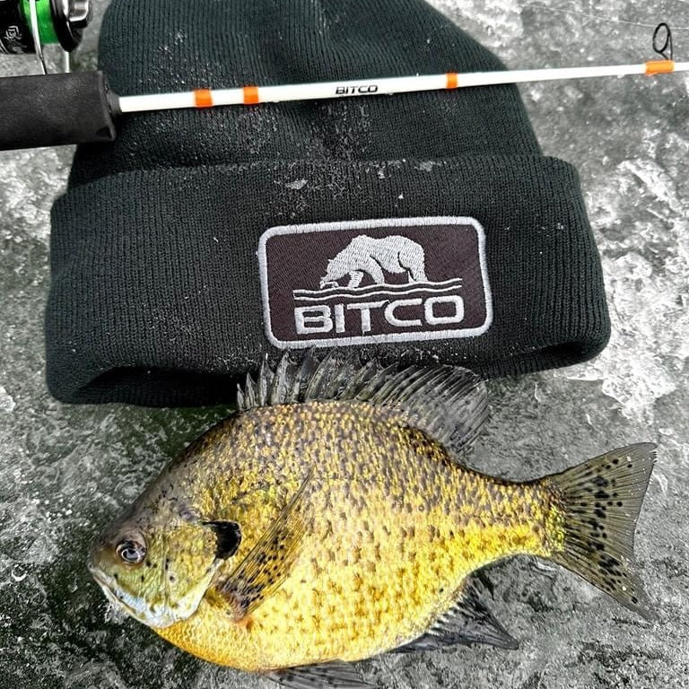 BITCO Stocking Hat